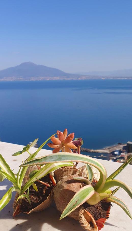 ヴィーコ・エクエンセDimora Del Conte Sorrento Coast Seaviewアパートメント エクステリア 写真